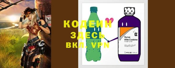 прущий лед Вяземский