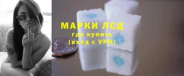прущий лед Вяземский