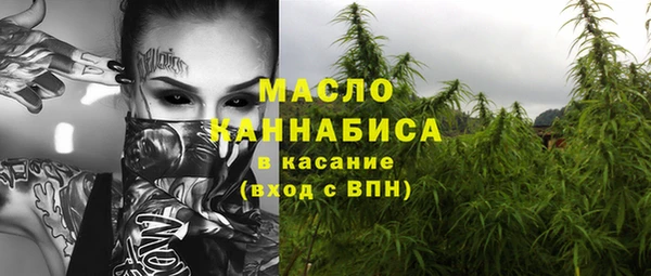 прущий лед Вяземский