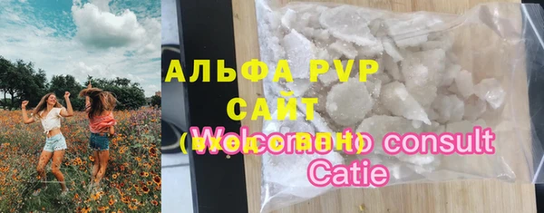 прущий лед Вяземский