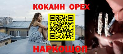 тгк Кингисепп