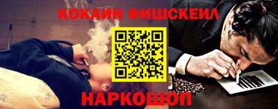 тгк Кингисепп