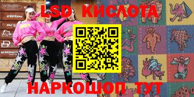 тгк Кингисепп