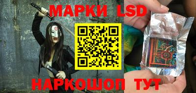 тгк Кингисепп