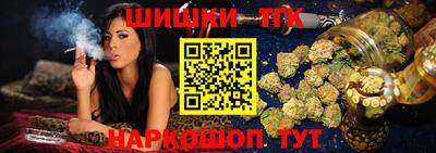 тгк Кингисепп