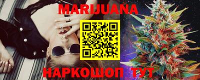 тгк Кингисепп