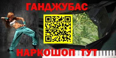 тгк Кингисепп