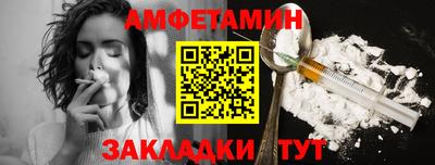 тгк Кингисепп