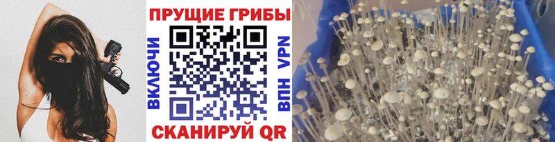 Галлюциногенные грибы ЛСД  как найти наркотики  Подольск 
